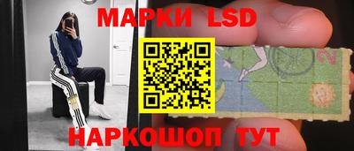 ешки Гатчина