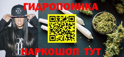 ешки Гатчина