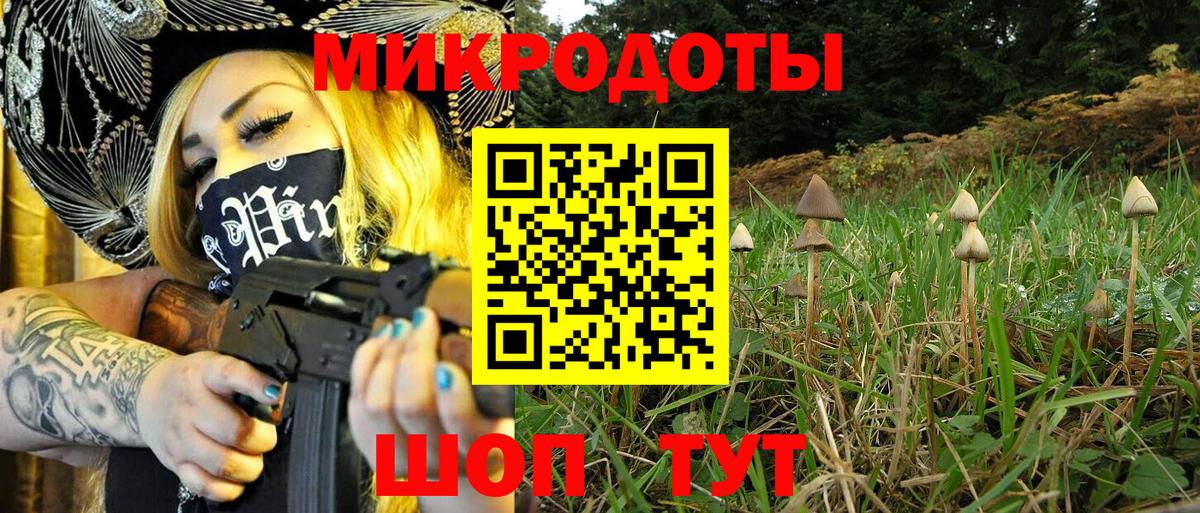 Махачкала  Псилоцибиновые грибы ЛСД  Вход с VPN 